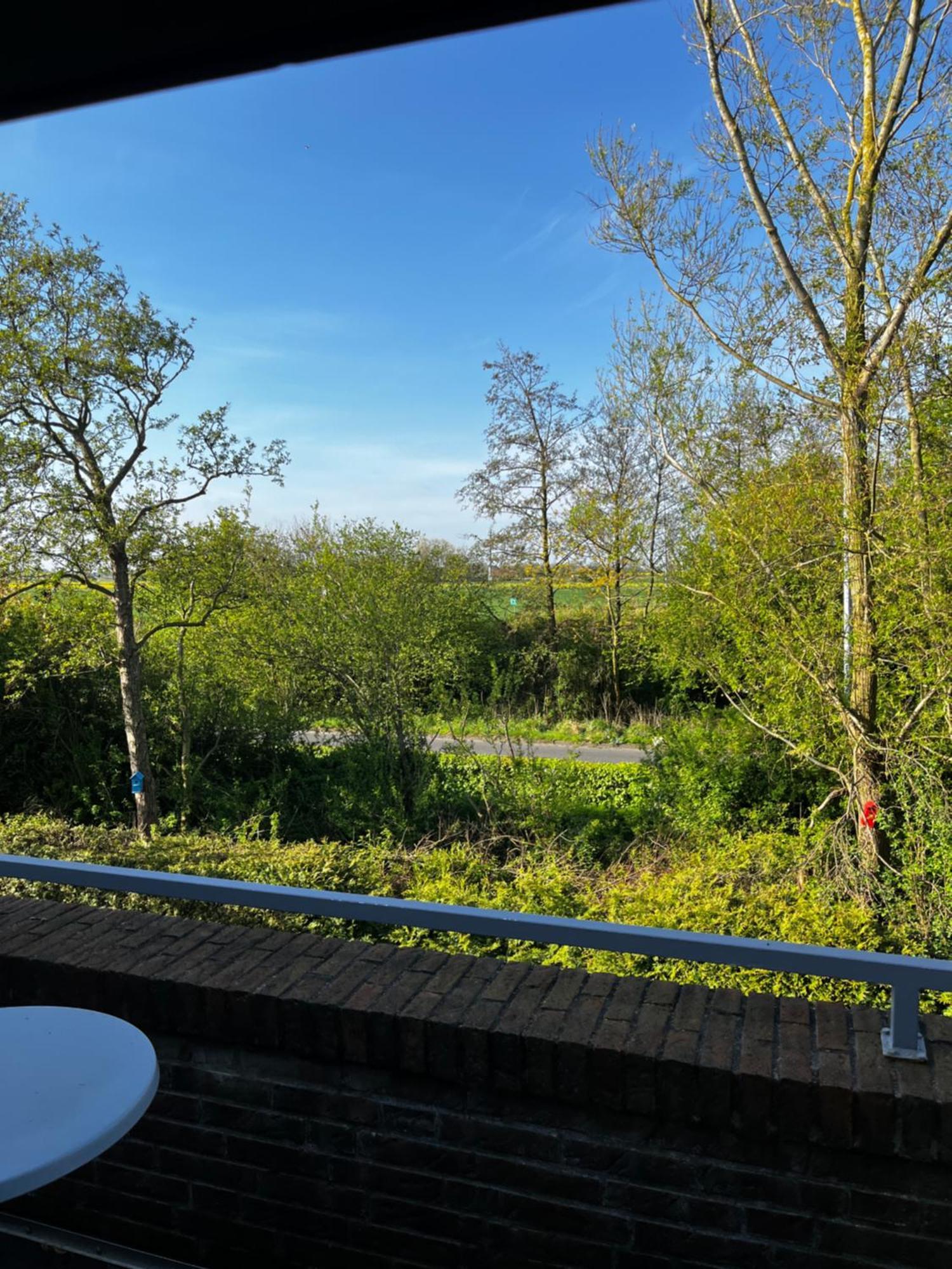Apartment Bakenweg Fuer Maximal 4 Personen Norden Esterno foto