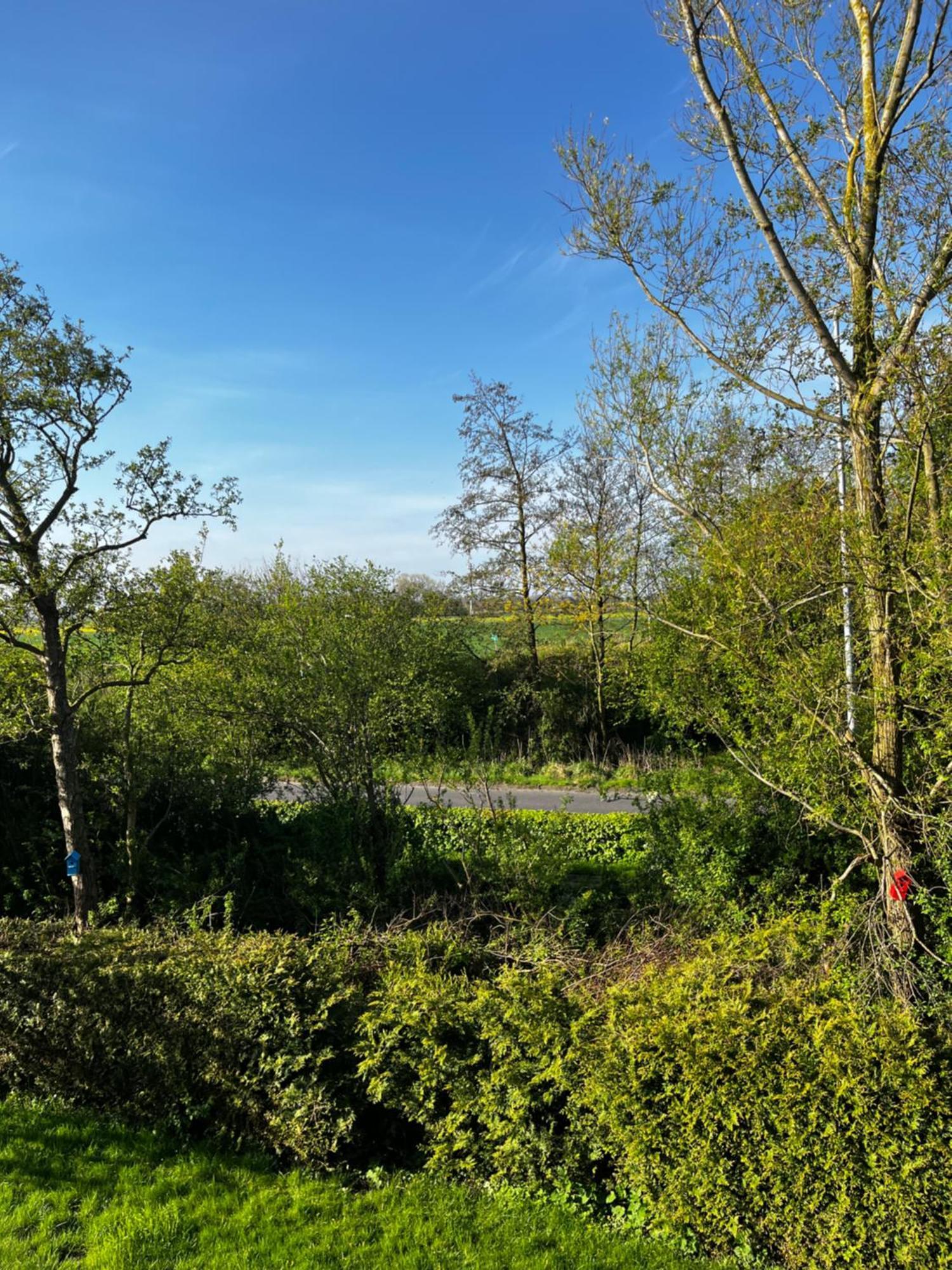 Apartment Bakenweg Fuer Maximal 4 Personen Norden Esterno foto